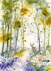 Spring Stag