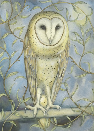 Barn Owl in the Willow