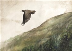 On Crows' Wings
