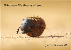 Whatever life throws at you...