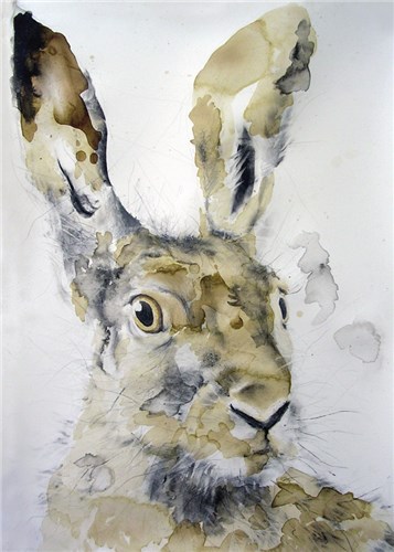 Head of a Hare