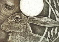 Hare and Moon